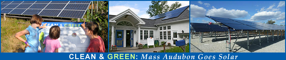 Mass Audubon Solar Portal | Clean & Green: Mass Audubon Goes Solar